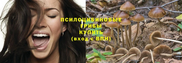 a pvp Зеленокумск